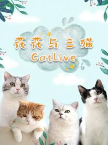 花花与三猫catlive 2019