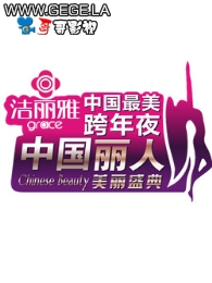 2013天津卫视跨年晚会